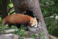 Beeldnr : 101 van 101
Naam : jj843862.jpg
Folder : fotos/jaren-201x/2019-2/denemarken/4-aug/
Formaat : 1200 x 800px
Thumb : 120 x 80px
Richting : Landschap
Bloknr : 3 van 3
Beeldnrs : 101 tm 101
Beelden in blok : 1