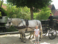 Beeldnr : 1 van 61
Naam : aj862431.jpg
Folder : fotos/jaren-201x/2019-2/denemarken/6-aug/
Formaat : 1200 x 900px
Thumb : 120 x 90px
Richting : Landschap
Bloknr : 1 van 2
Beeldnrs : 1 tm 50
Beelden in blok : 50