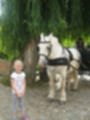 Beeldnr : 3 van 61
Naam : aj862433.jpg
Folder : fotos/jaren-201x/2019-2/denemarken/6-aug/
Formaat : 900 x 1200px
Thumb : 90 x 120px
Richting : Portret
Bloknr : 1 van 2
Beeldnrs : 1 tm 50
Beelden in blok : 50