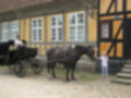 Beeldnr : 9 van 61
Naam : aj862448.jpg
Folder : fotos/jaren-201x/2019-2/denemarken/6-aug/
Formaat : 1200 x 900px
Thumb : 120 x 90px
Richting : Landschap
Bloknr : 1 van 2
Beeldnrs : 1 tm 50
Beelden in blok : 50