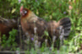 Beeldnr : 19 van 61
Naam : jj863874.jpg
Folder : fotos/jaren-201x/2019-2/denemarken/6-aug/
Formaat : 1200 x 800px
Thumb : 120 x 80px
Richting : Landschap
Bloknr : 1 van 2
Beeldnrs : 1 tm 50
Beelden in blok : 50