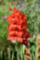 Beeldnr : 22 van 61
Naam : jj863878.jpg
Folder : fotos/jaren-201x/2019-2/denemarken/6-aug/
Formaat : 800 x 1200px
Thumb : 80 x 120px
Richting : Portret
Bloknr : 1 van 2
Beeldnrs : 1 tm 50
Beelden in blok : 50
