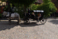 Beeldnr : 29 van 61
Naam : jj863889.jpg
Folder : fotos/jaren-201x/2019-2/denemarken/6-aug/
Formaat : 1200 x 800px
Thumb : 120 x 80px
Richting : Landschap
Bloknr : 1 van 2
Beeldnrs : 1 tm 50
Beelden in blok : 50