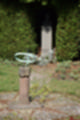 Beeldnr : 49 van 61
Naam : jj863915.jpg
Folder : fotos/jaren-201x/2019-2/denemarken/6-aug/
Formaat : 800 x 1200px
Thumb : 80 x 120px
Richting : Portret
Bloknr : 1 van 2
Beeldnrs : 1 tm 50
Beelden in blok : 50