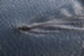 Beeldnr : 9 van 72
Naam : jj883935.jpg
Folder : fotos/jaren-201x/2019-2/denemarken/8-aug/
Formaat : 1200 x 800px
Thumb : 120 x 80px
Richting : Landschap
Bloknr : 1 van 2
Beeldnrs : 1 tm 50
Beelden in blok : 50