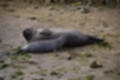Beeldnr : 11 van 72
Naam : jj883939.jpg
Folder : fotos/jaren-201x/2019-2/denemarken/8-aug/
Formaat : 1200 x 800px
Thumb : 120 x 80px
Richting : Landschap
Bloknr : 1 van 2
Beeldnrs : 1 tm 50
Beelden in blok : 50