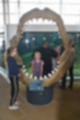 Beeldnr : 27 van 72
Naam : jj883976.jpg
Folder : fotos/jaren-201x/2019-2/denemarken/8-aug/
Formaat : 800 x 1200px
Thumb : 80 x 120px
Richting : Portret
Bloknr : 1 van 2
Beeldnrs : 1 tm 50
Beelden in blok : 50