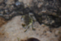 Beeldnr : 31 van 72
Naam : jj883983.jpg
Folder : fotos/jaren-201x/2019-2/denemarken/8-aug/
Formaat : 1200 x 800px
Thumb : 120 x 80px
Richting : Landschap
Bloknr : 1 van 2
Beeldnrs : 1 tm 50
Beelden in blok : 50