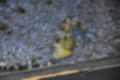 Beeldnr : 56 van 72
Naam : jj884055.jpg
Folder : fotos/jaren-201x/2019-2/denemarken/8-aug/
Formaat : 1200 x 800px
Thumb : 120 x 80px
Richting : Landschap
Bloknr : 2 van 2
Beeldnrs : 51 tm 72
Beelden in blok : 22