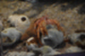 Beeldnr : 68 van 72
Naam : jj884077.jpg
Folder : fotos/jaren-201x/2019-2/denemarken/8-aug/
Formaat : 1200 x 800px
Thumb : 120 x 80px
Richting : Landschap
Bloknr : 2 van 2
Beeldnrs : 51 tm 72
Beelden in blok : 22