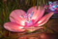 Beeldnr : 12 van 98
Naam : jk145339.jpg
Folder : fotos/jaren-202x/2020-2/china-light-rhenen/4-jan/
Formaat : 1200 x 800px
Thumb : 120 x 80px
Richting : Landschap
Bloknr : 1 van 2
Beeldnrs : 1 tm 50
Beelden in blok : 50