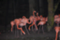 Beeldnr : 75 van 98
Naam : jk145449.jpg
Folder : fotos/jaren-202x/2020-2/china-light-rhenen/4-jan/
Formaat : 1200 x 800px
Thumb : 120 x 80px
Richting : Landschap
Bloknr : 2 van 2
Beeldnrs : 51 tm 98
Beelden in blok : 48