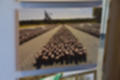 Beeldnr : 28 van 144
Naam : jl8ha908.jpg
Folder : fotos/jaren-202x/2021-2/drenthe-en-texel/17-aug/
Formaat : 1200 x 800px
Thumb : 120 x 80px
Richting : Landschap
Bloknr : 1 van 3
Beeldnrs : 1 tm 50
Beelden in blok : 50
