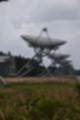 Beeldnr : 72 van 144
Naam : jl8hb029.jpg
Folder : fotos/jaren-202x/2021-2/drenthe-en-texel/17-aug/
Formaat : 800 x 1200px
Thumb : 80 x 120px
Richting : Portret
Bloknr : 2 van 3
Beeldnrs : 51 tm 100
Beelden in blok : 50