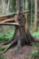 Beeldnr : 82 van 144
Naam : jl8hb046.jpg
Folder : fotos/jaren-202x/2021-2/drenthe-en-texel/17-aug/
Formaat : 800 x 1200px
Thumb : 80 x 120px
Richting : Portret
Bloknr : 2 van 3
Beeldnrs : 51 tm 100
Beelden in blok : 50