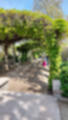 Beeldnr : 35 van 99
Naam : j_230430_120230.jpg
Folder : fotos/jaren-202x/2023-2/parijs/30-apr/
Formaat : 901 x 1600px
Thumb : 68 x 120px
Richting : Portret
Bloknr : 1 van 2
Beeldnrs : 1 tm 50
Beelden in blok : 50