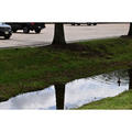 Beeldnr : 24 van 187
Naam : FTG_0413.jpg
Folder : fotos/jaren-202x/2024-2/eclipsreis-texas/10-apr/
Formaat : 1200 x 1200px
Thumb : 120 x 120px
Richting : Vierkant
Bloknr : 1 van 4
Beeldnrs : 1 tm 50
Beelden in blok : 50