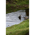 Beeldnr : 25 van 187
Naam : FTG_0414.jpg
Folder : fotos/jaren-202x/2024-2/eclipsreis-texas/10-apr/
Formaat : 1200 x 1200px
Thumb : 120 x 120px
Richting : Vierkant
Bloknr : 1 van 4
Beeldnrs : 1 tm 50
Beelden in blok : 50