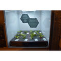 Beeldnr : 51 van 187
Naam : FTG_0446.jpg
Folder : fotos/jaren-202x/2024-2/eclipsreis-texas/10-apr/
Formaat : 1200 x 1200px
Thumb : 120 x 120px
Richting : Vierkant
Bloknr : 2 van 4
Beeldnrs : 51 tm 100
Beelden in blok : 50
