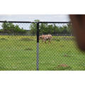 Beeldnr : 141 van 187
Naam : FTG_0584.jpg
Folder : fotos/jaren-202x/2024-2/eclipsreis-texas/10-apr/
Formaat : 1200 x 1200px
Thumb : 120 x 120px
Richting : Vierkant
Bloknr : 3 van 4
Beeldnrs : 101 tm 150
Beelden in blok : 50