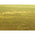 Beeldnr : 4 van 13
Naam : 20240404_193143.jpg
Folder : fotos/jaren-202x/2024-2/eclipsreis-texas/4-apr/
Formaat : 1200 x 1200px
Thumb : 120 x 120px
Richting : Vierkant
Bloknr : 1 van 1
Beeldnrs : 1 tm 13
Beelden in blok : 13