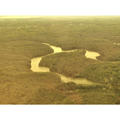 Beeldnr : 7 van 13
Naam : 20240404_193404.jpg
Folder : fotos/jaren-202x/2024-2/eclipsreis-texas/4-apr/
Formaat : 1200 x 1200px
Thumb : 120 x 120px
Richting : Vierkant
Bloknr : 1 van 1
Beeldnrs : 1 tm 13
Beelden in blok : 13