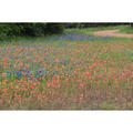 Beeldnr : 5 van 45
Naam : FTG_0289.jpg
Folder : fotos/jaren-202x/2024-2/eclipsreis-texas/8-apr/
Formaat : 1200 x 1200px
Thumb : 120 x 120px
Richting : Vierkant
Bloknr : 1 van 1
Beeldnrs : 1 tm 45
Beelden in blok : 45