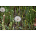 Beeldnr : 12 van 45
Naam : FTG_0297.jpg
Folder : fotos/jaren-202x/2024-2/eclipsreis-texas/8-apr/
Formaat : 1200 x 1200px
Thumb : 120 x 120px
Richting : Vierkant
Bloknr : 1 van 1
Beeldnrs : 1 tm 45
Beelden in blok : 45