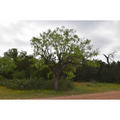Beeldnr : 20 van 45
Naam : FTG_0307.jpg
Folder : fotos/jaren-202x/2024-2/eclipsreis-texas/8-apr/
Formaat : 1200 x 1200px
Thumb : 120 x 120px
Richting : Vierkant
Bloknr : 1 van 1
Beeldnrs : 1 tm 45
Beelden in blok : 45