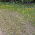 Beeldnr : 21 van 45
Naam : FTG_0308.jpg
Folder : fotos/jaren-202x/2024-2/eclipsreis-texas/8-apr/
Formaat : 1200 x 1200px
Thumb : 120 x 120px
Richting : Vierkant
Bloknr : 1 van 1
Beeldnrs : 1 tm 45
Beelden in blok : 45