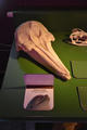 Beeldnr : 27 van 223
Naam : FTG_0404.jpg
Folder : fotos/jaren-202x/2024-2/scandinavie/2-aug/
Formaat : 800 x 1200px
Thumb : 80 x 120px
Richting : Portret
Bloknr : 1 van 5
Beeldnrs : 1 tm 50
Beelden in blok : 50