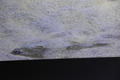 Beeldnr : 78 van 223
Naam : FTG_0455.jpg
Folder : fotos/jaren-202x/2024-2/scandinavie/2-aug/
Formaat : 1200 x 800px
Thumb : 120 x 80px
Richting : Landschap
Bloknr : 2 van 5
Beeldnrs : 51 tm 100
Beelden in blok : 50