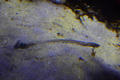 Beeldnr : 79 van 223
Naam : FTG_0456.jpg
Folder : fotos/jaren-202x/2024-2/scandinavie/2-aug/
Formaat : 1200 x 800px
Thumb : 120 x 80px
Richting : Landschap
Bloknr : 2 van 5
Beeldnrs : 51 tm 100
Beelden in blok : 50