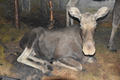 Beeldnr : 101 van 223
Naam : FTG_0478.jpg
Folder : fotos/jaren-202x/2024-2/scandinavie/2-aug/
Formaat : 1200 x 800px
Thumb : 120 x 80px
Richting : Landschap
Bloknr : 3 van 5
Beeldnrs : 101 tm 150
Beelden in blok : 50