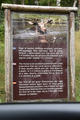 Beeldnr : 13 van 103
Naam : FTG_0613.jpg
Folder : fotos/jaren-202x/2024-2/scandinavie/4-aug/
Formaat : 800 x 1200px
Thumb : 80 x 120px
Richting : Portret
Bloknr : 1 van 3
Beeldnrs : 1 tm 50
Beelden in blok : 50