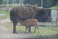 Beeldnr : 15 van 103
Naam : FTG_0615.jpg
Folder : fotos/jaren-202x/2024-2/scandinavie/4-aug/
Formaat : 1200 x 800px
Thumb : 120 x 80px
Richting : Landschap
Bloknr : 1 van 3
Beeldnrs : 1 tm 50
Beelden in blok : 50