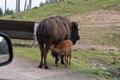 Beeldnr : 16 van 103
Naam : FTG_0616.jpg
Folder : fotos/jaren-202x/2024-2/scandinavie/4-aug/
Formaat : 1200 x 800px
Thumb : 120 x 80px
Richting : Landschap
Bloknr : 1 van 3
Beeldnrs : 1 tm 50
Beelden in blok : 50