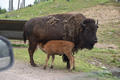 Beeldnr : 19 van 103
Naam : FTG_0619.jpg
Folder : fotos/jaren-202x/2024-2/scandinavie/4-aug/
Formaat : 1200 x 800px
Thumb : 120 x 80px
Richting : Landschap
Bloknr : 1 van 3
Beeldnrs : 1 tm 50
Beelden in blok : 50