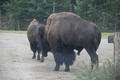 Beeldnr : 28 van 103
Naam : FTG_0628.jpg
Folder : fotos/jaren-202x/2024-2/scandinavie/4-aug/
Formaat : 1200 x 800px
Thumb : 120 x 80px
Richting : Landschap
Bloknr : 1 van 3
Beeldnrs : 1 tm 50
Beelden in blok : 50