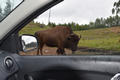 Beeldnr : 55 van 103
Naam : FTG_0655.jpg
Folder : fotos/jaren-202x/2024-2/scandinavie/4-aug/
Formaat : 1200 x 800px
Thumb : 120 x 80px
Richting : Landschap
Bloknr : 2 van 3
Beeldnrs : 51 tm 100
Beelden in blok : 50