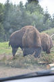 Beeldnr : 58 van 103
Naam : FTG_0658.jpg
Folder : fotos/jaren-202x/2024-2/scandinavie/4-aug/
Formaat : 800 x 1200px
Thumb : 80 x 120px
Richting : Portret
Bloknr : 2 van 3
Beeldnrs : 51 tm 100
Beelden in blok : 50