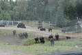 Beeldnr : 69 van 103
Naam : FTG_0669.jpg
Folder : fotos/jaren-202x/2024-2/scandinavie/4-aug/
Formaat : 1200 x 800px
Thumb : 120 x 80px
Richting : Landschap
Bloknr : 2 van 3
Beeldnrs : 51 tm 100
Beelden in blok : 50