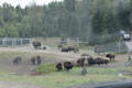 Beeldnr : 73 van 103
Naam : FTG_0673.jpg
Folder : fotos/jaren-202x/2024-2/scandinavie/4-aug/
Formaat : 1200 x 800px
Thumb : 120 x 80px
Richting : Landschap
Bloknr : 2 van 3
Beeldnrs : 51 tm 100
Beelden in blok : 50