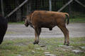 Beeldnr : 76 van 103
Naam : FTG_0676.jpg
Folder : fotos/jaren-202x/2024-2/scandinavie/4-aug/
Formaat : 1200 x 800px
Thumb : 120 x 80px
Richting : Landschap
Bloknr : 2 van 3
Beeldnrs : 51 tm 100
Beelden in blok : 50