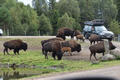 Beeldnr : 78 van 103
Naam : FTG_0678.jpg
Folder : fotos/jaren-202x/2024-2/scandinavie/4-aug/
Formaat : 1200 x 800px
Thumb : 120 x 80px
Richting : Landschap
Bloknr : 2 van 3
Beeldnrs : 51 tm 100
Beelden in blok : 50