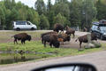 Beeldnr : 79 van 103
Naam : FTG_0679.jpg
Folder : fotos/jaren-202x/2024-2/scandinavie/4-aug/
Formaat : 1200 x 800px
Thumb : 120 x 80px
Richting : Landschap
Bloknr : 2 van 3
Beeldnrs : 51 tm 100
Beelden in blok : 50