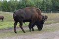 Beeldnr : 82 van 103
Naam : FTG_0682.jpg
Folder : fotos/jaren-202x/2024-2/scandinavie/4-aug/
Formaat : 1200 x 800px
Thumb : 120 x 80px
Richting : Landschap
Bloknr : 2 van 3
Beeldnrs : 51 tm 100
Beelden in blok : 50