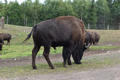 Beeldnr : 83 van 103
Naam : FTG_0683.jpg
Folder : fotos/jaren-202x/2024-2/scandinavie/4-aug/
Formaat : 1200 x 800px
Thumb : 120 x 80px
Richting : Landschap
Bloknr : 2 van 3
Beeldnrs : 51 tm 100
Beelden in blok : 50