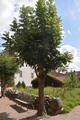 Beeldnr : 70 van 214
Naam : FTGb0015.jpg
Folder : fotos/jaren-202x/2024-2/scandinavie/8-aug/
Formaat : 800 x 1200px
Thumb : 80 x 120px
Richting : Portret
Bloknr : 2 van 5
Beeldnrs : 51 tm 100
Beelden in blok : 50